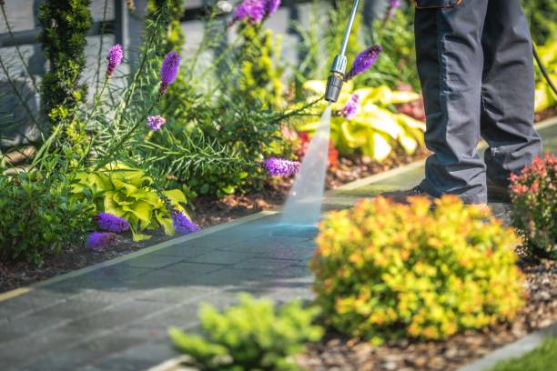 Best Pool Deck Cleaning in Tallahassee, FL